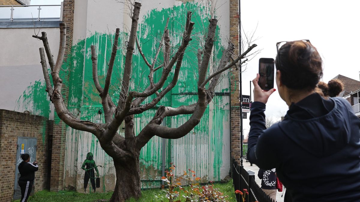Zelený strom. Banksy se přihlásil k autorství nového díla v severním Londýně