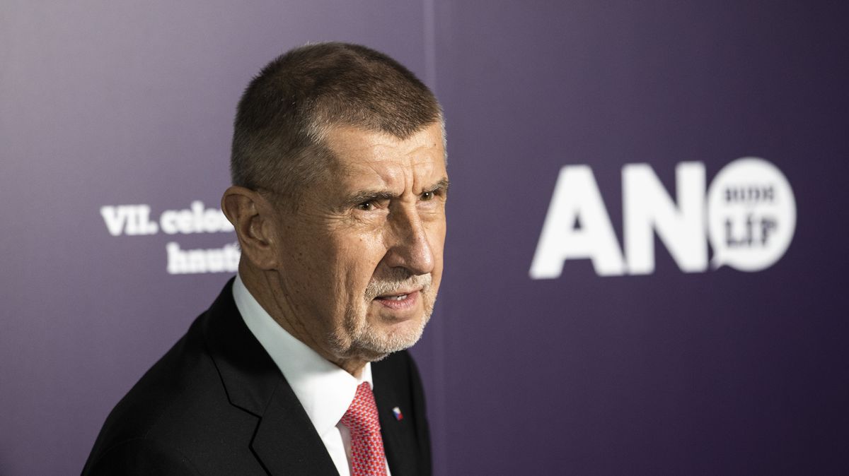 Babiš uspěl u Nejvyššího soudu ve sporu s Piráty