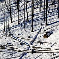 Národní park České Švýcarsko pod sněhem.