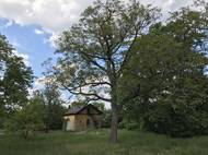 Obří vodárenské stavby jsou v romantické nepřístupné zahradě přímo v centru Brna. Vodojemy pod Žlutým kopcem pocházejí z konce devatenáctého století. 