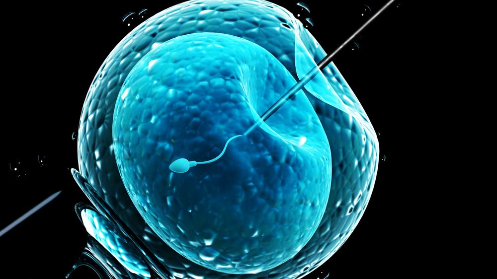 Spor o záměnu embryí při umělém oplodnění skončil dohodou
