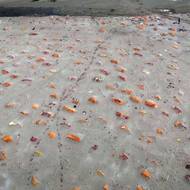 GettyImages-1319087987