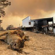 profimedia-0624111232