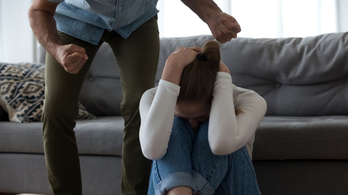 Vládní tým představil jasný popis toho, co je domácí násilí