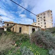 Příroda si vždycky najde cestu, jak se prosadit.