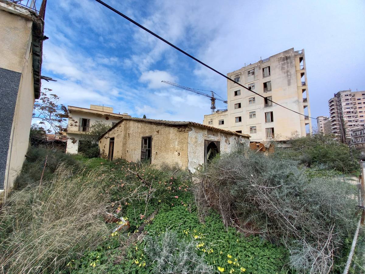 Příroda si vždycky najde cestu, jak se prosadit.