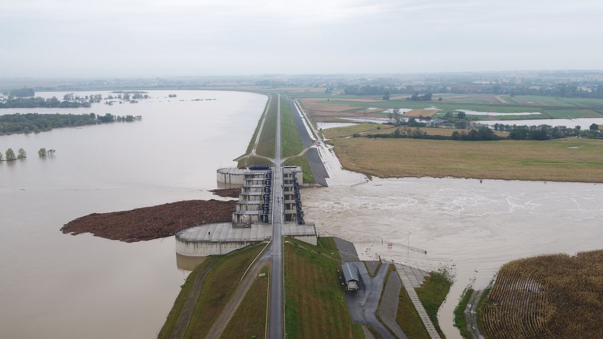 Povodňová vlna postupuje Polskem po Odře, náročné chvíle zažívá Brzeg Dolny