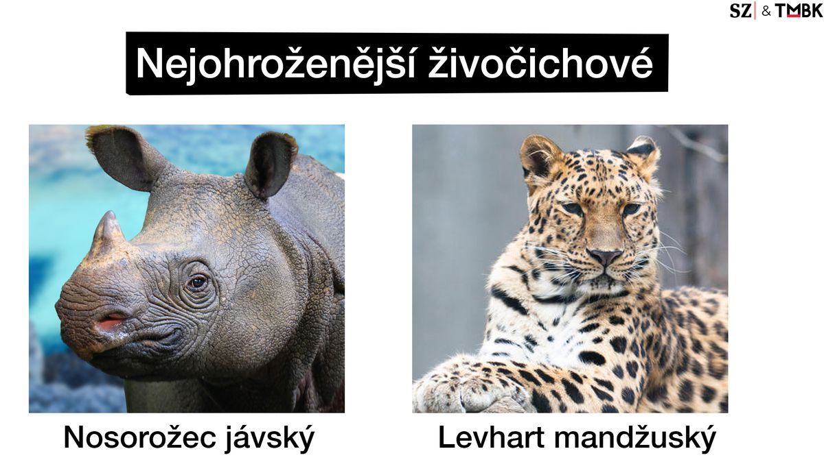 TMBK: Ivan Bartoš po krajských volbách přeci jen urval jeden rekord