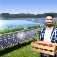 Sev.en Energy plánuje výstavbu akvaponické farmy s chovem ryb a produkcí zeleniny.