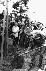 „Zajíc míru s příslušenstvím“ byl poté vydražen za 777 tisíc marek a vysazování stromů mohlo začít. 