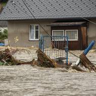 …Překvapilo mě, že přesto na náměstí Svobody zůstala stát auta, která poté regulérně plavala po náměstí, ze kterého se stala jedna vodní plocha desítky centimetrů vysoká,“ popsala starostka.