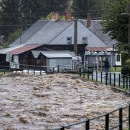 Rejhotice u Loučné nad Desnou, 14. září.