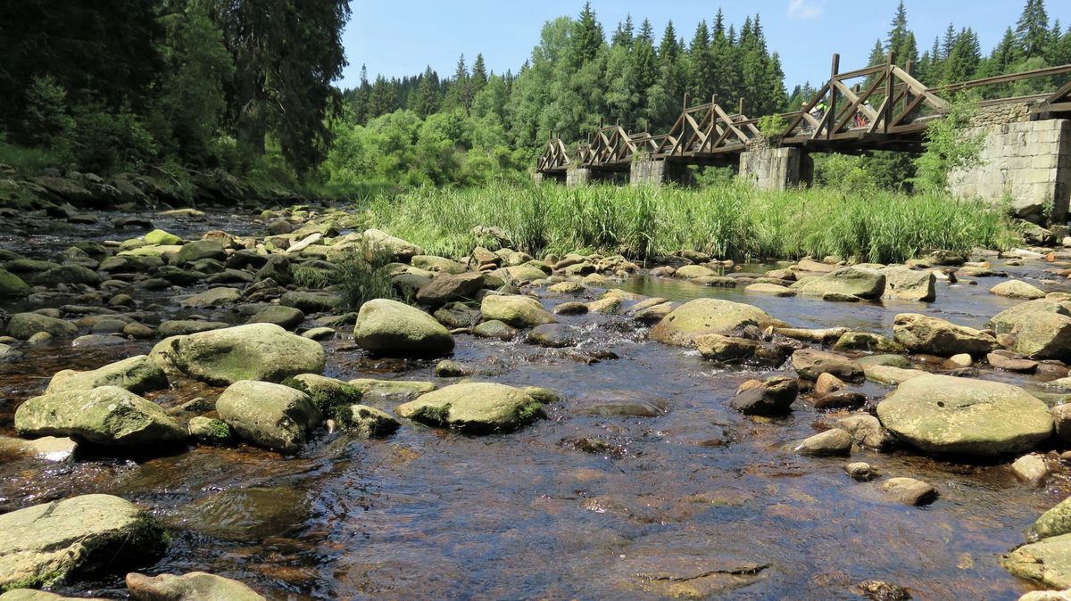 Na výlet z šumavské Modravy. Navštivte rašeliniště, plavební kanál či pivovar