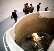 Vosk, včelí společenství a med. Na Dokumentě 6 v Kasselu roku 1977 vytváří dílo Honeypump. Med má být symbolem tepla a bratrství. Včely jsou pro Beuyse znakem socialismu, ale ne v podobě mechanického státu, ale jako sociální organismus, ve kterém všechny části mají svou funkci tak jako i v lidském těle. V tomto společenství jsou nastoleny principy spolupráce. 