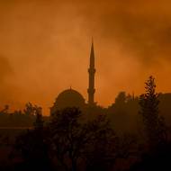 profimedia-0624168778