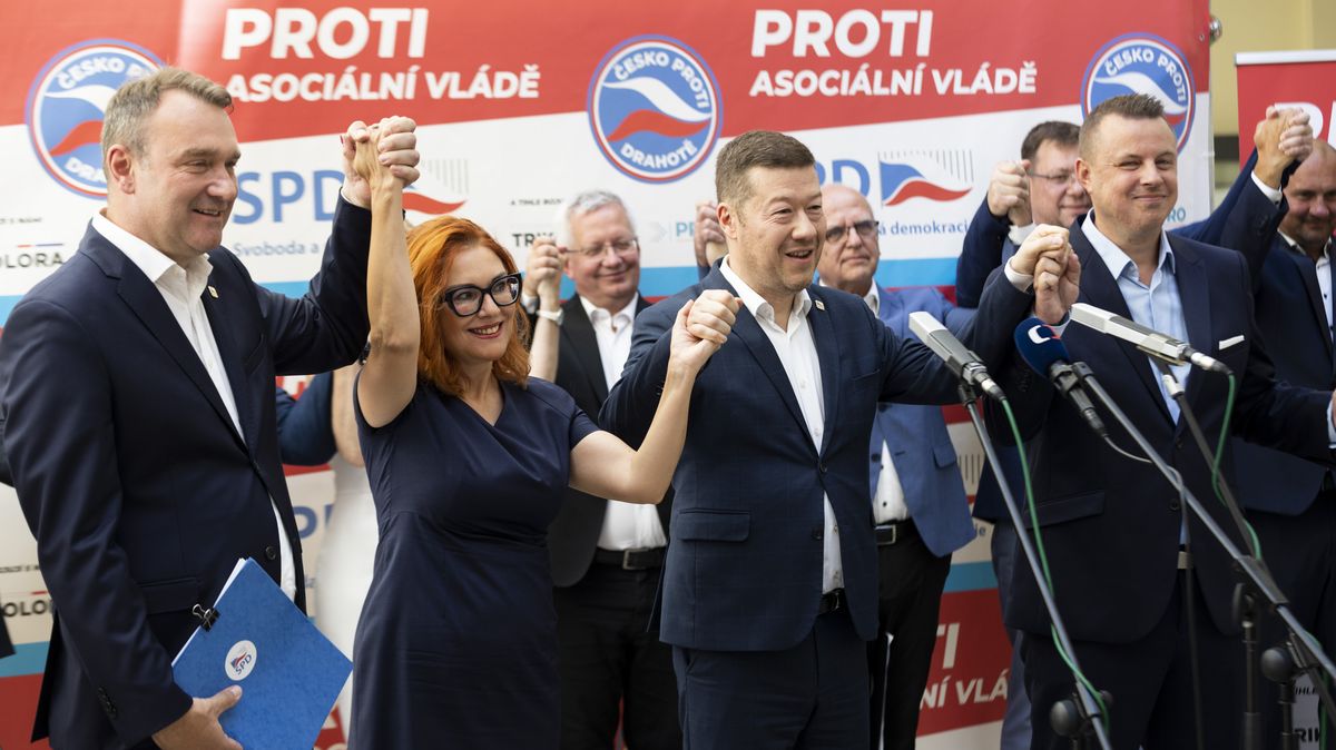 SPD se spojuje s menšími stranami. Zbavuje se konkurence, míní politilog