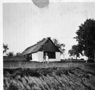 Původní čapí hnízdo v sousedním Semtínku, na vrcholu stodoly.