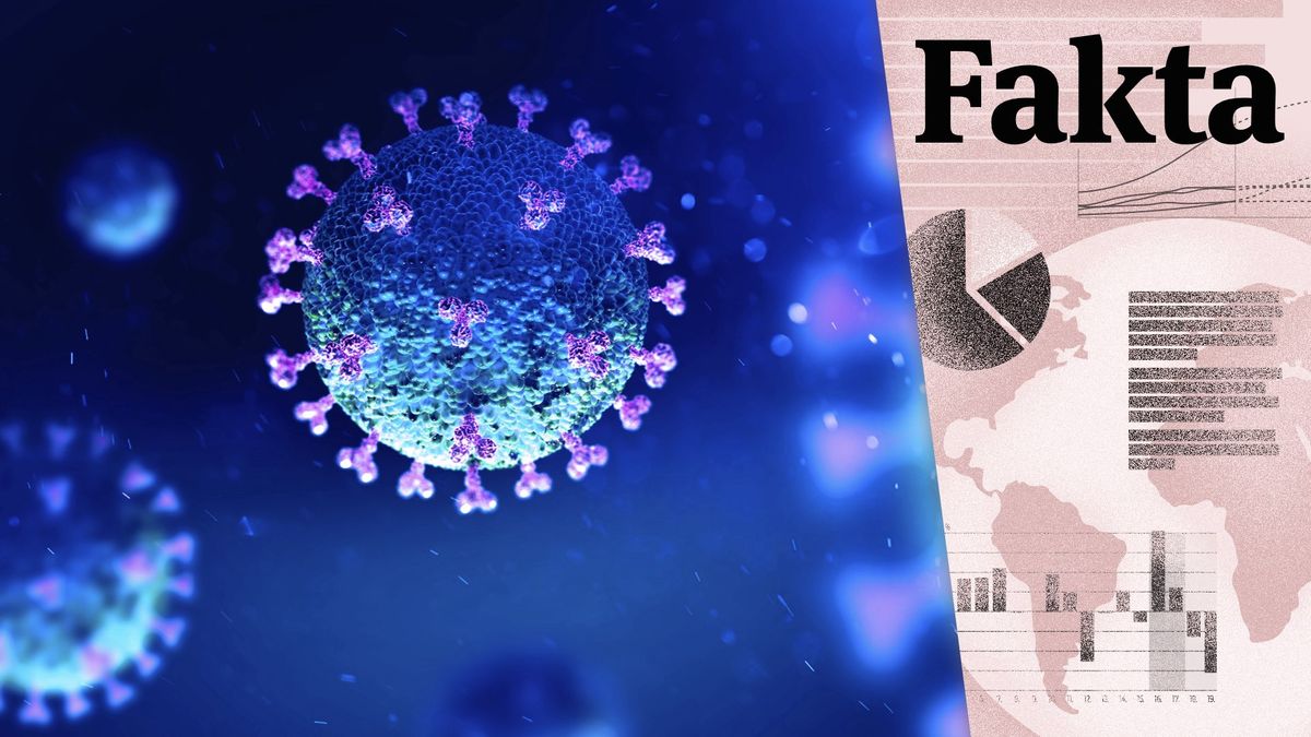 Osm potvrzených faktů o koronaviru. Tohle o něm víme po roce
