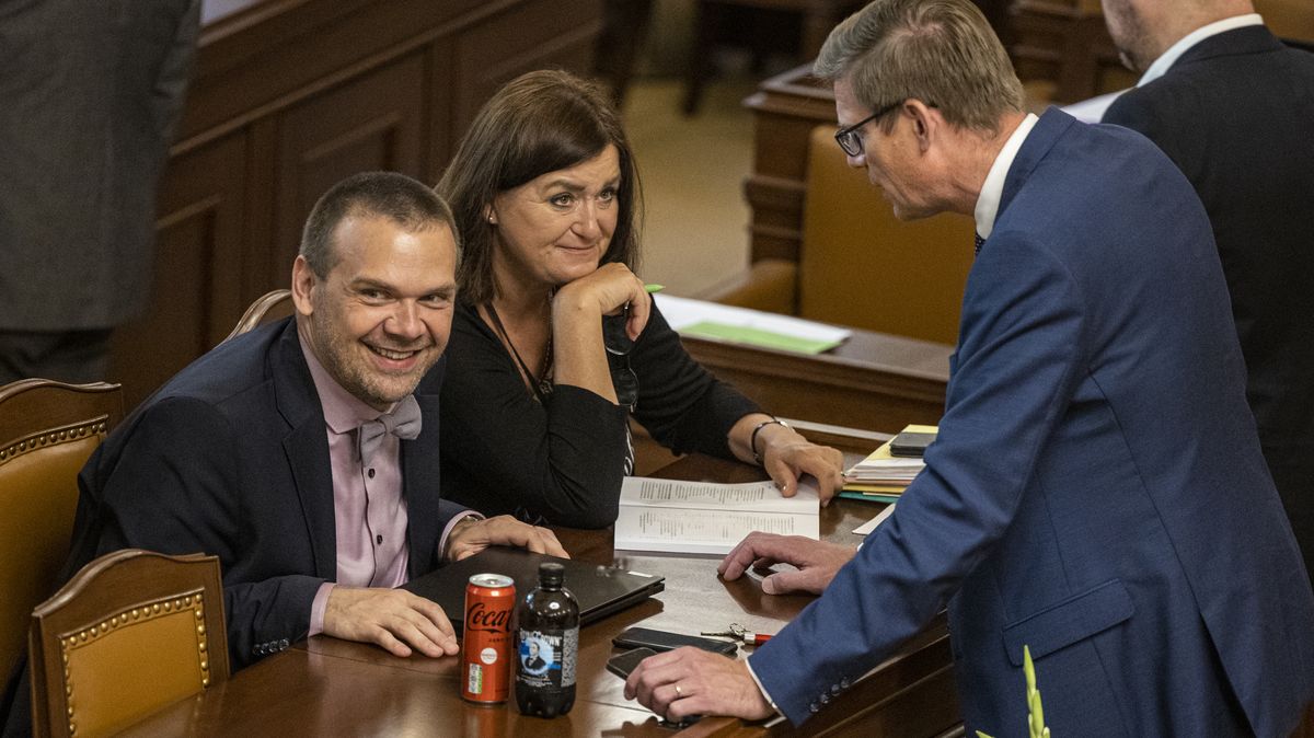 Z vlády ji vyhodili pro „neviditelnost“. Teď chce do čela kandidátky