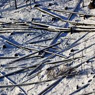 Národní park České Švýcarsko pod sněhem.