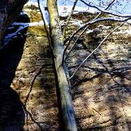 Národní park České Švýcarsko pod sněhem.