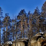 Národní park České Švýcarsko pod sněhem.