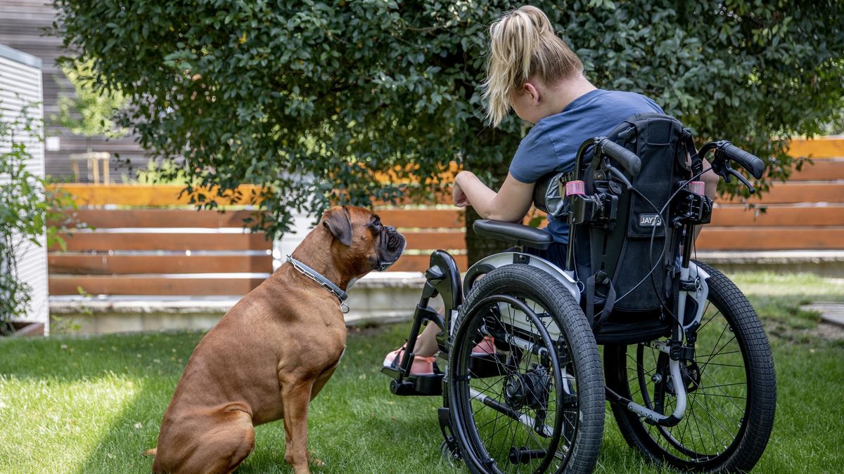 Dívka ochrnula na škole v přírodě. Odškodné za 15 let, škola má nízkou pojistku