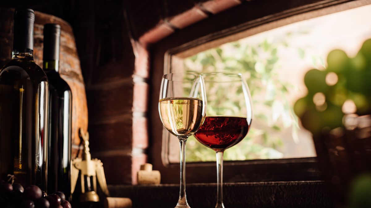 Vědci z Brna chtějí zabránit falšování vína pomocí ultrafialového záření