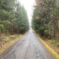 Kousek od obce Podluhy začíná CHKO Brdy.