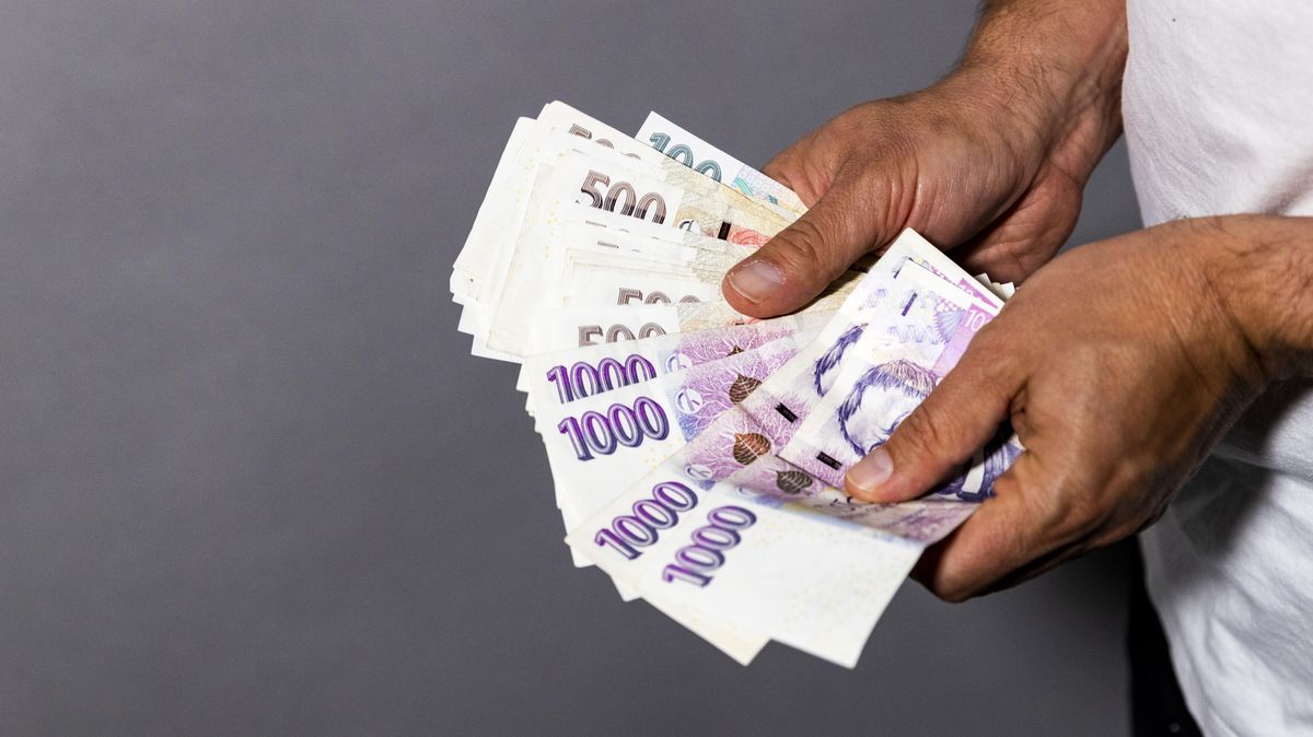 Důchody od ledna porostou o 356 korun