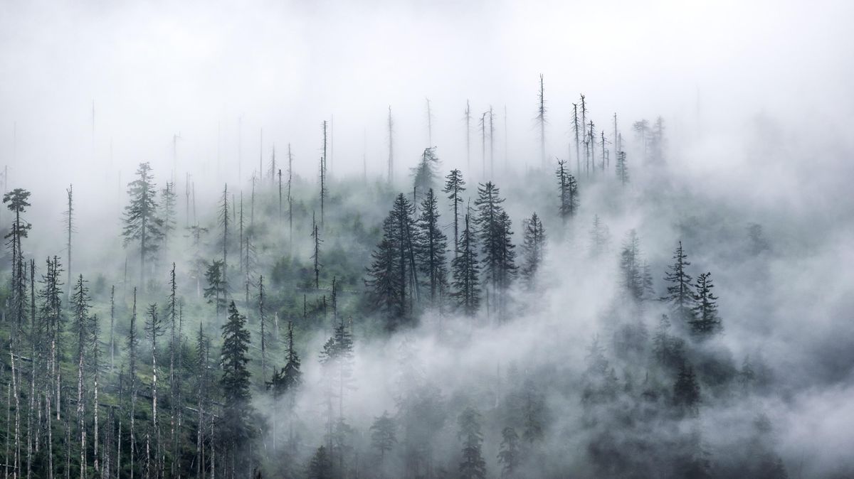 Šumava jako místo hrůzy. Klabouchová v hororu ničí sen o klidném Česku