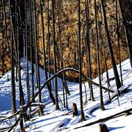 Národní park České Švýcarsko pod sněhem.