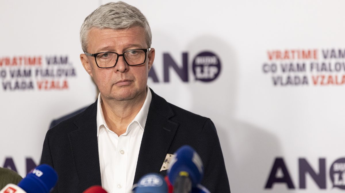 Můžete počítat s podporou hnutí ANO, řekl Havlíček ukrajinskému velvyslanci