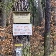 Na stromech jsou cedule s upozorněním na činnost armády.