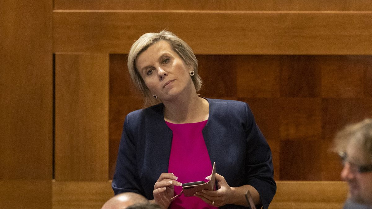 Nikdy jsem nechtěla být ministryní, říká stínová ministryně Vildumetzová