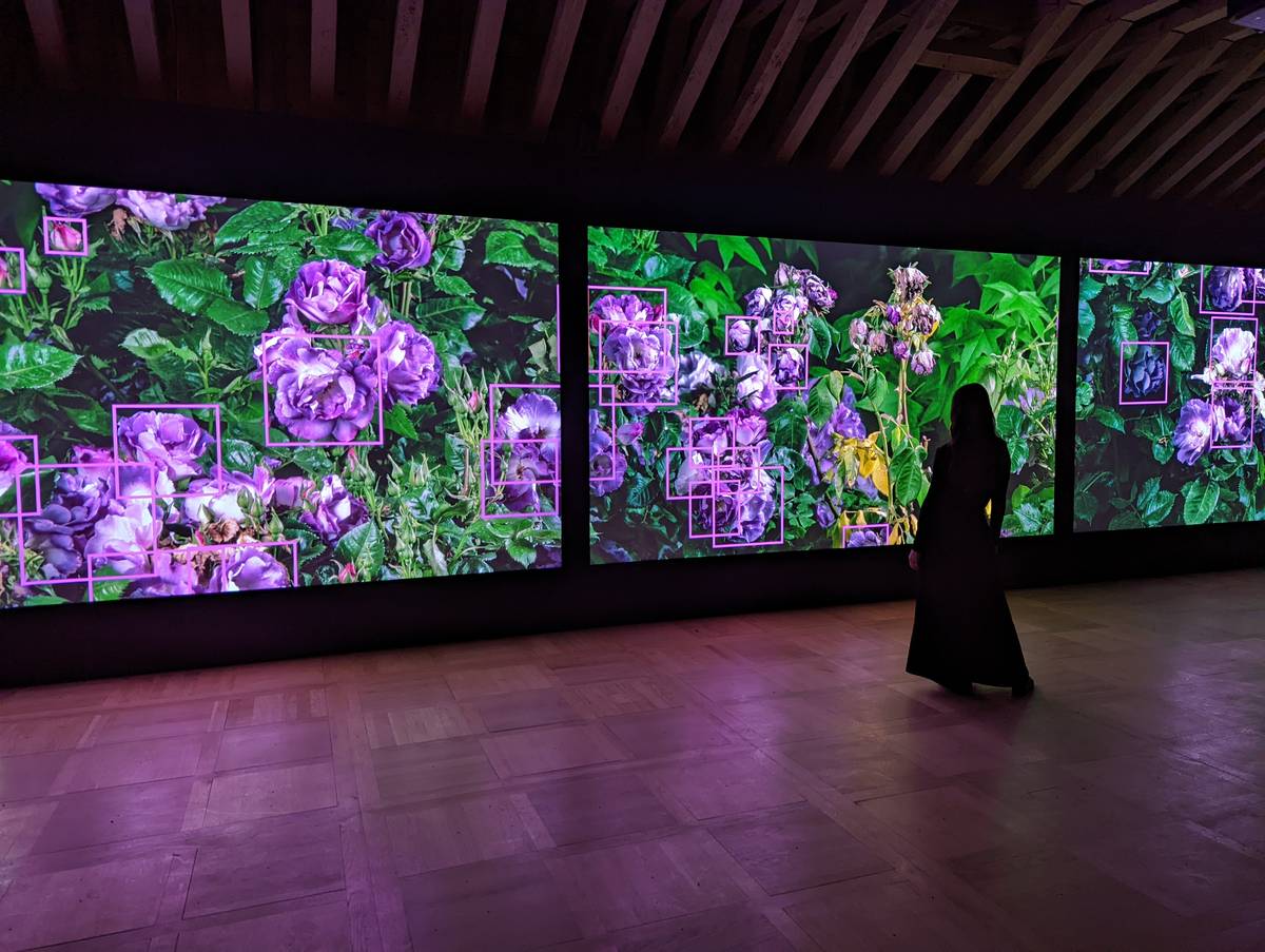 Signal Festival 2024, instalace Quayoly v CAMP.