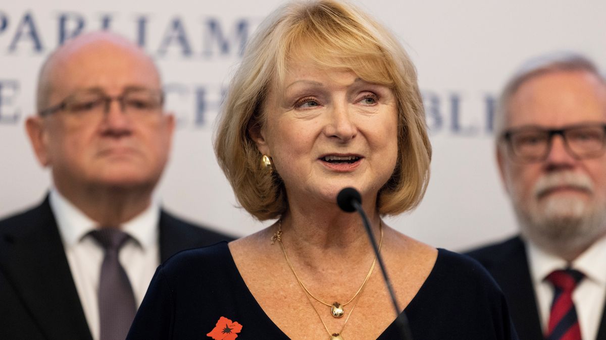 Místopředsedkyně horní komory Seitlová nebude na podzim obhajovat mandát