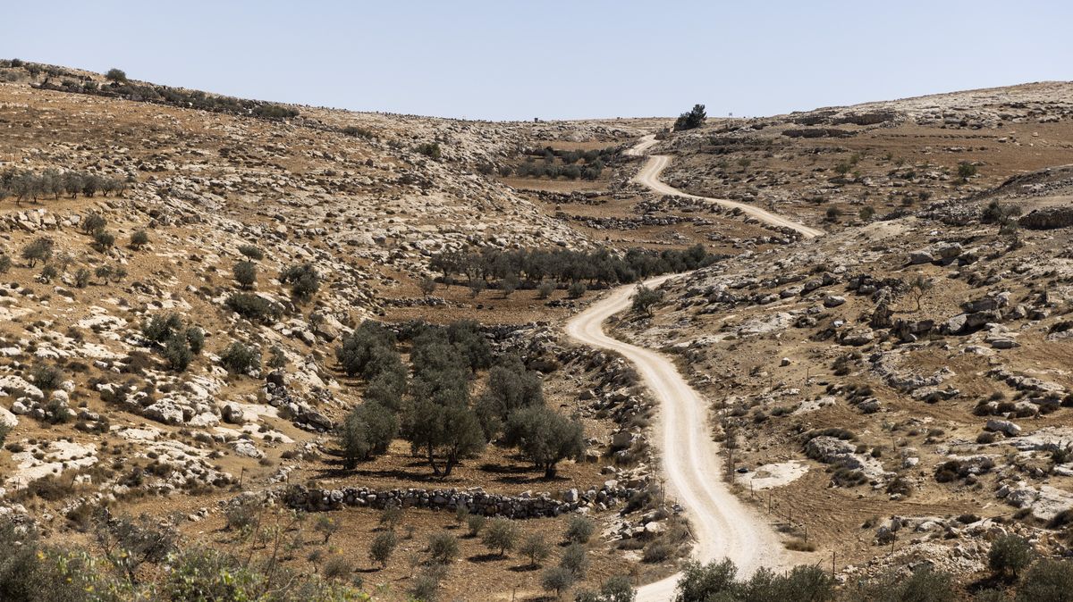Izraelské síly na Západním břehu zastřelily palestinsko-amerického chlapce