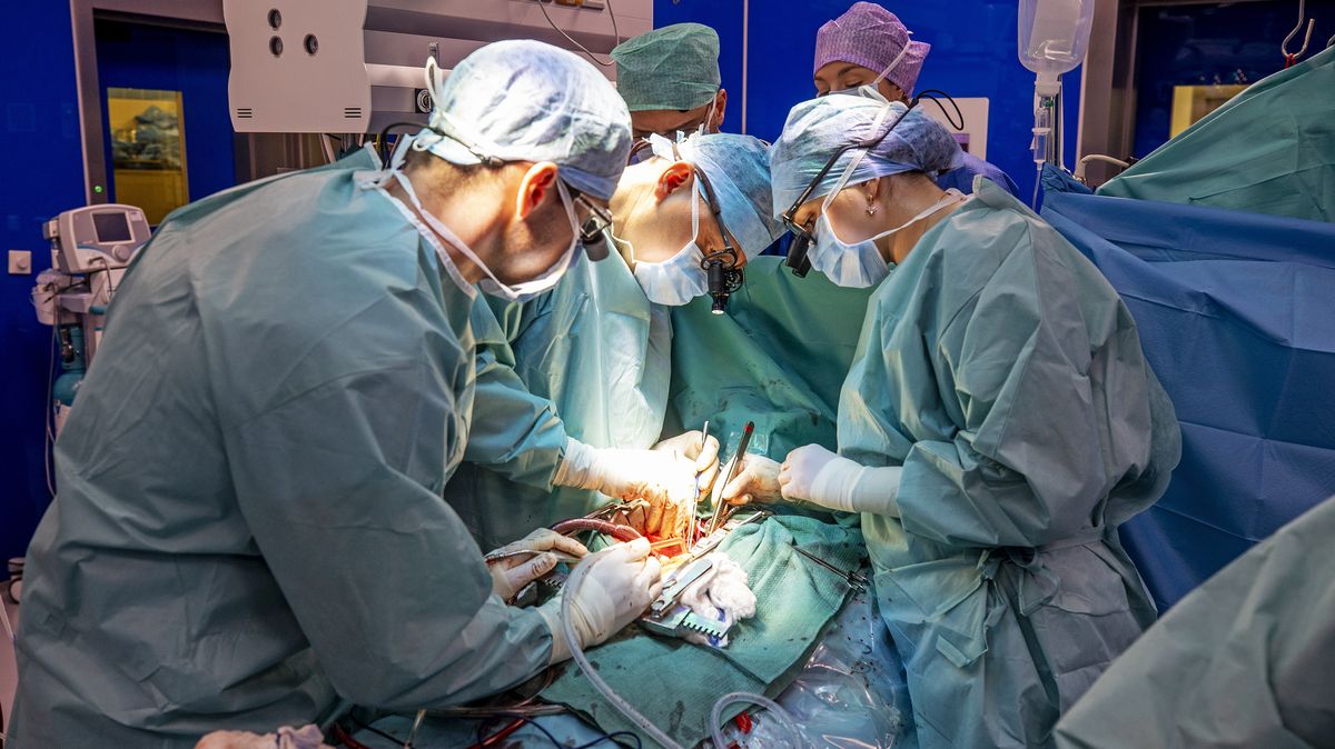 Slovenská vláda chce přimět zákonem lékaře k práci i po podání výpovědi