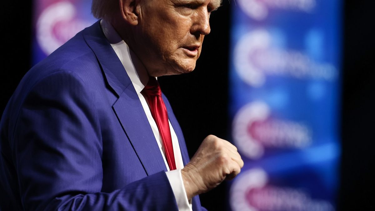 Trump vyzval soud k pozastavení zákona, jenž by mohl vést k zákazu TikToku