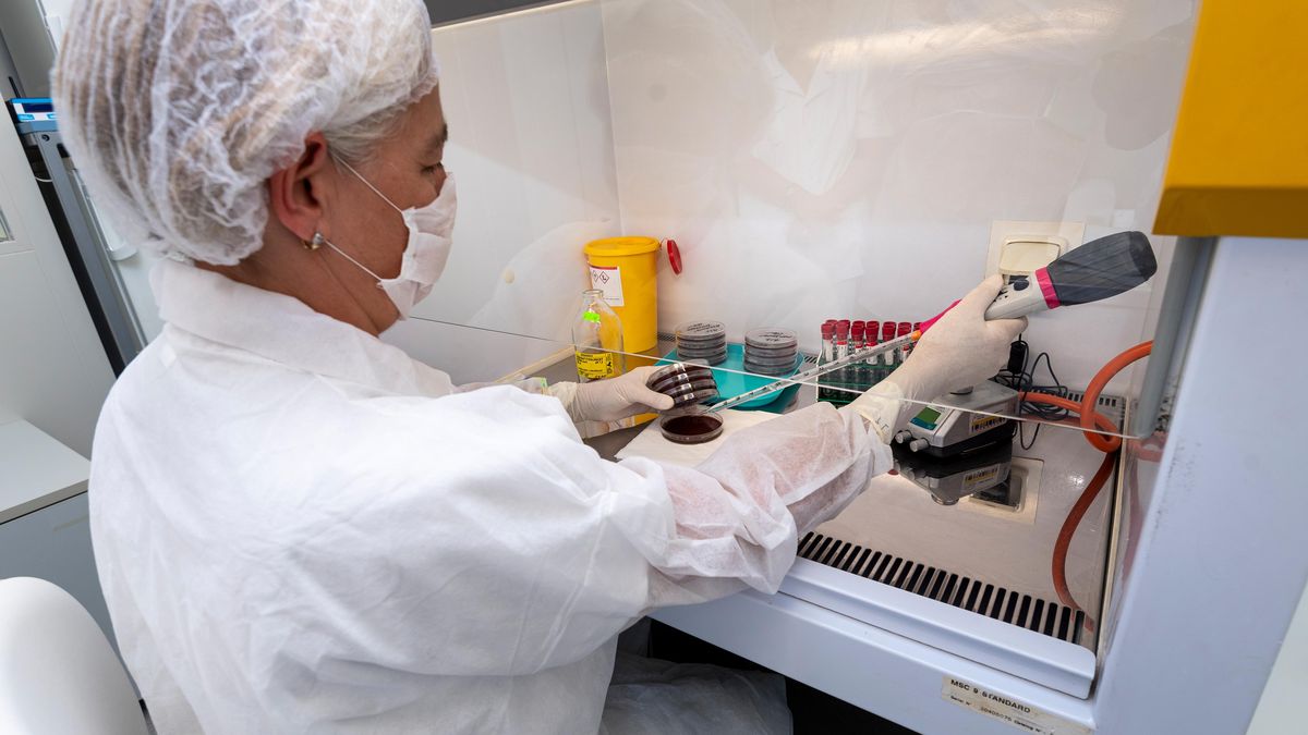 Kvůli mrtvému novorozenci chystá policie v Rovensku plošný test DNA u žen