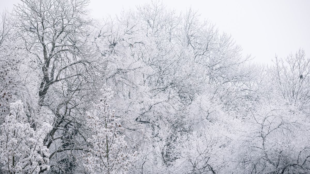 Nadcházející noci budou teploty klesat až k minus 16 stupňům