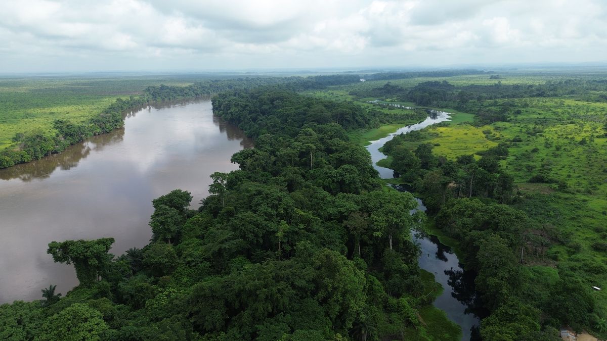 Studie: Africké pralesy už uhlík nezachytávají, naopak ho produkují