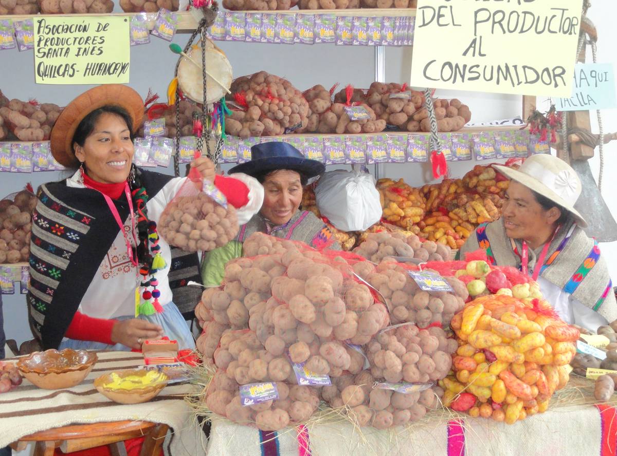 Peru je kolébkou brambor a brambory tu mají i svůj den v kalendáři.