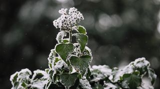 Ledoví muži přinesou citelné ochlazení, na horách může sněžit