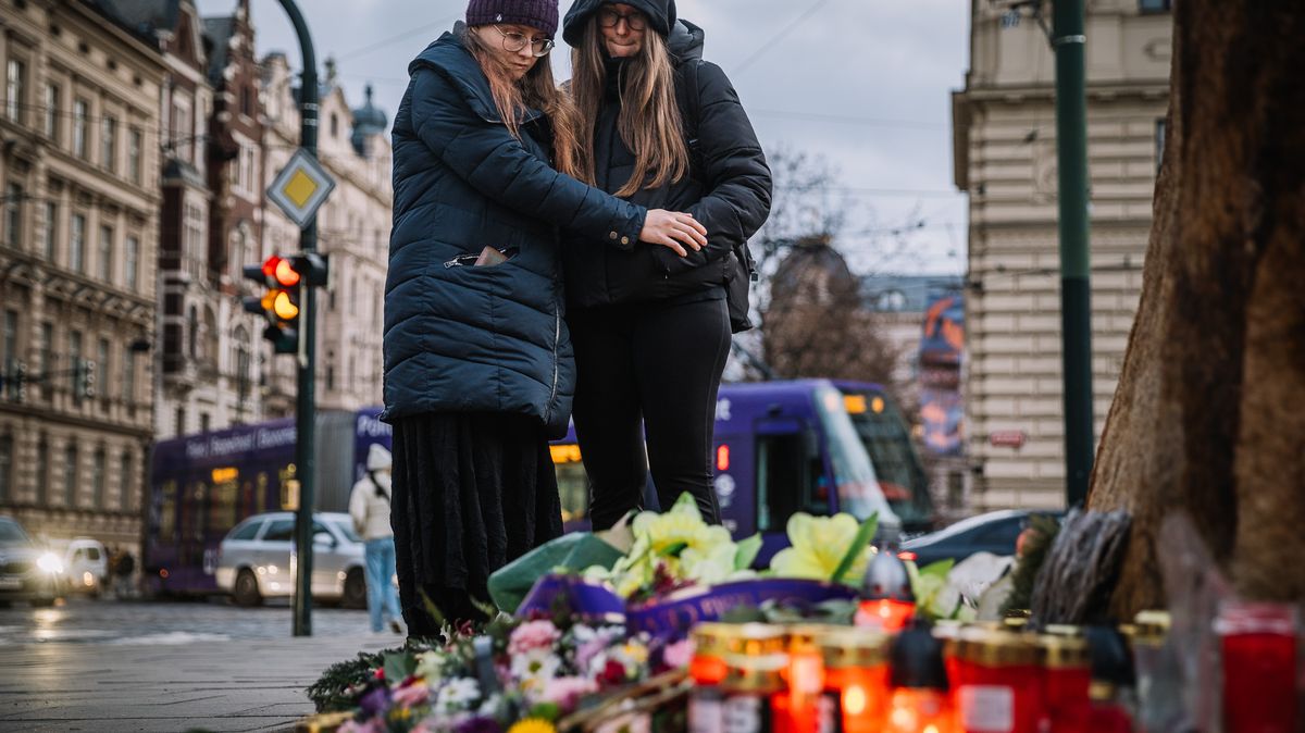 Ústavní soud: Poslanci neveřejným jednáním práva pozůstalých neporušili