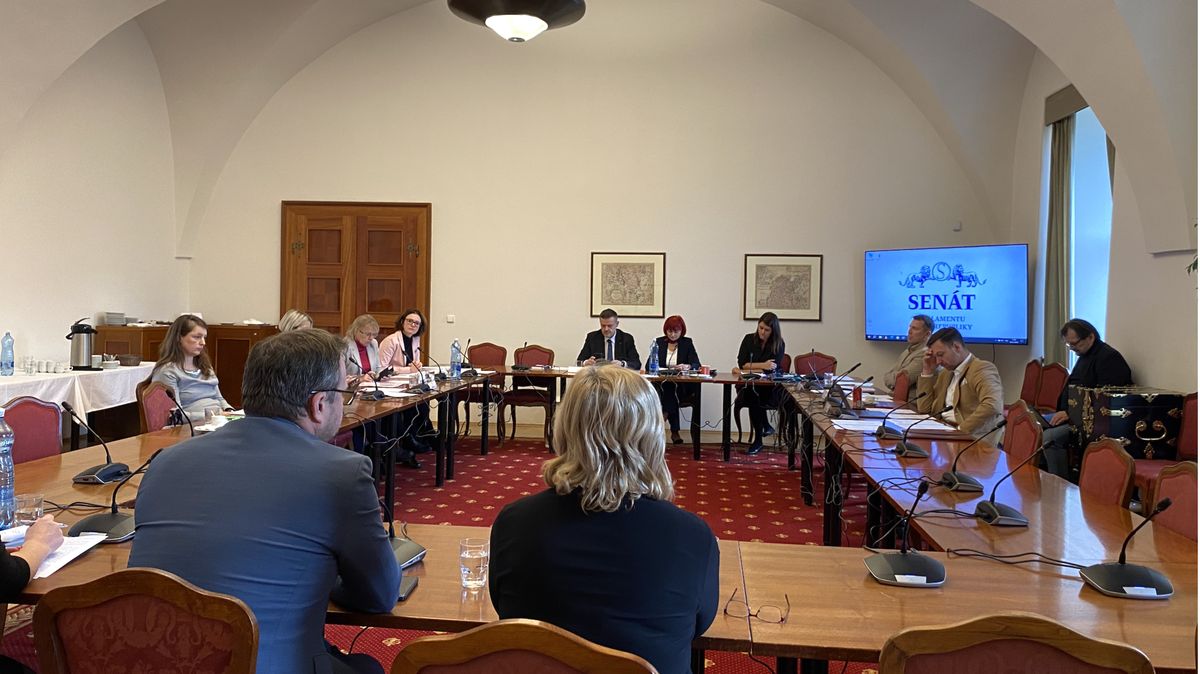 „Do penze si zaslouží odejít včas.“ Senátoři se přou o důchodovou reformu