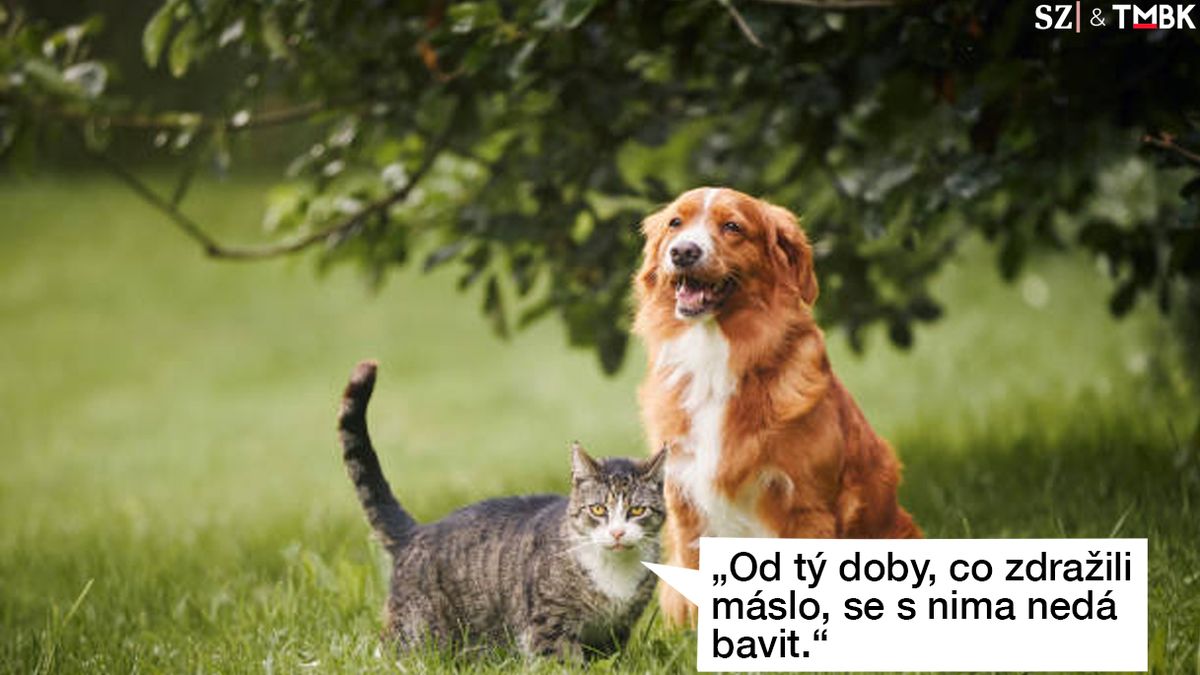 TMBK: Zdražení másla má nečekané dopady. Nejen na lidi