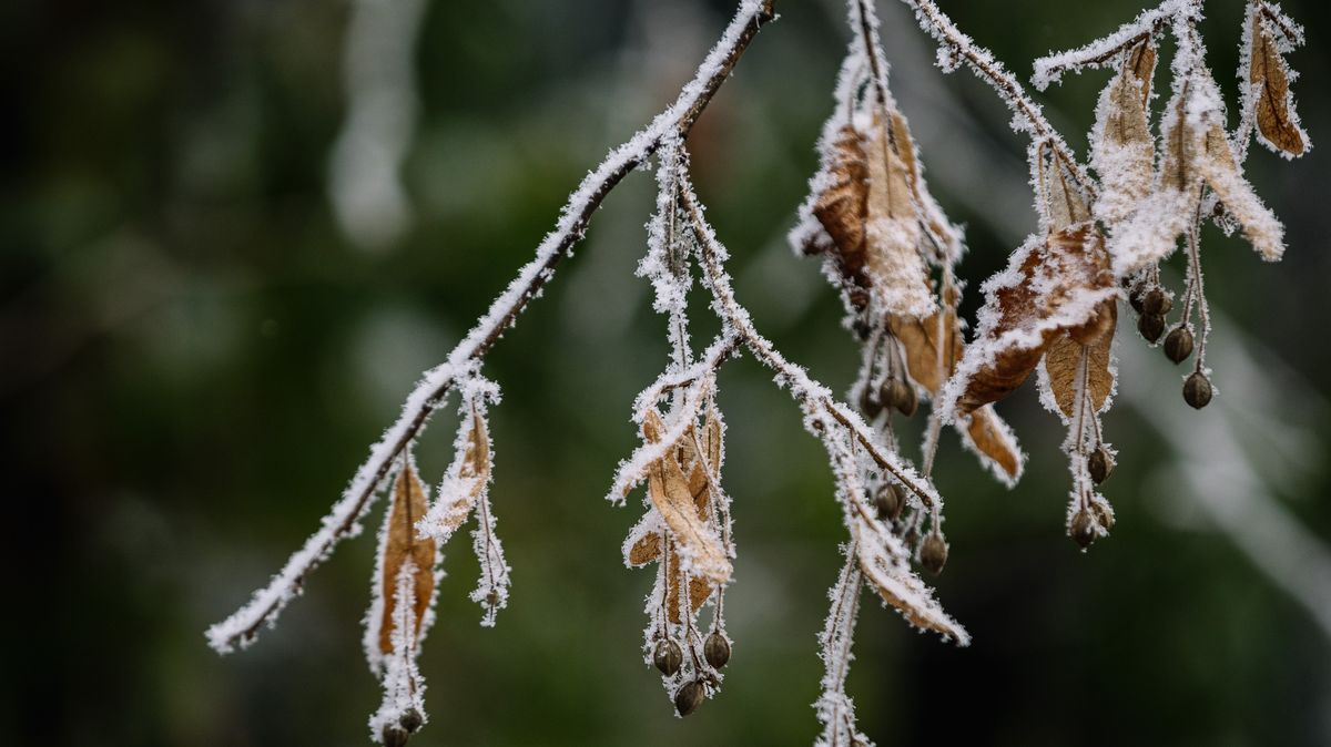 U šumavské Kvildy naměřili minus 17,5 stupně