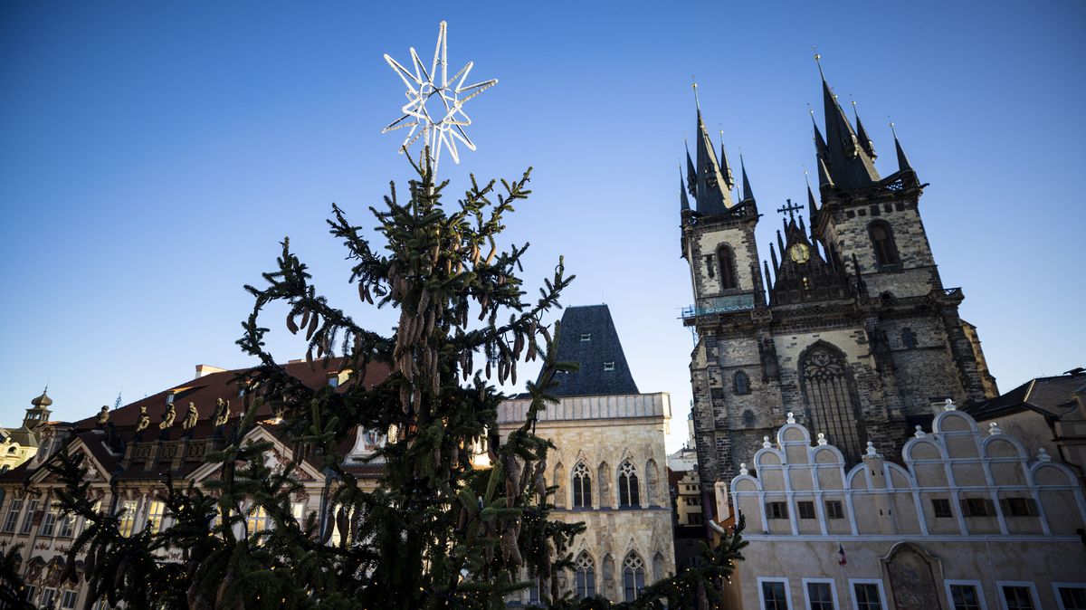 Fotky: Zdobení vánočního stromu na Staroměstském náměstí. Jak bude vypadat?
